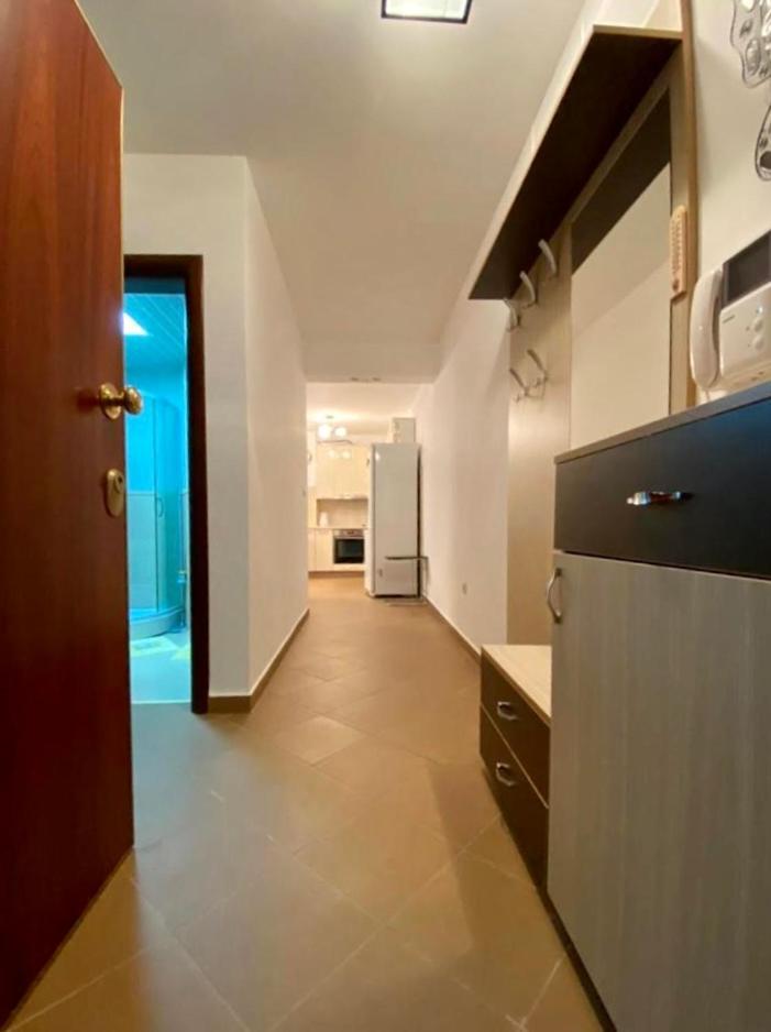 Apartment Liza Petrovac Extérieur photo