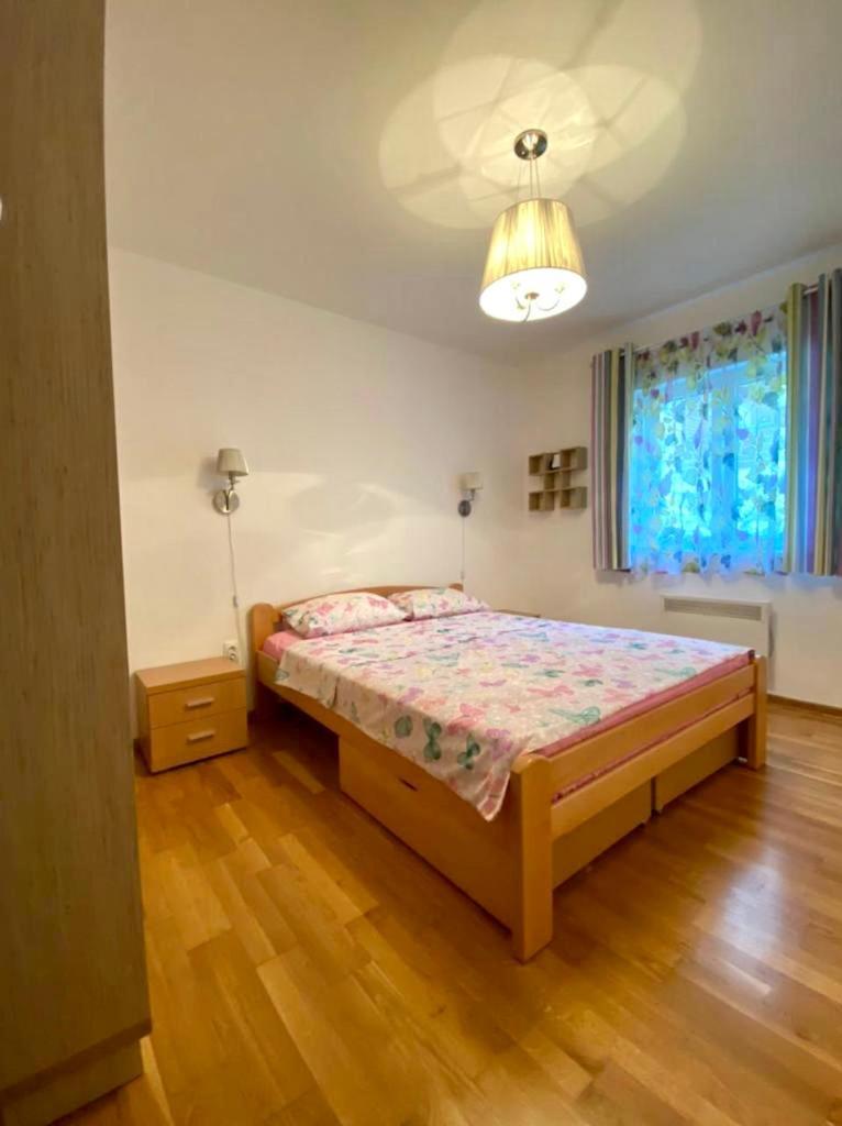Apartment Liza Petrovac Extérieur photo