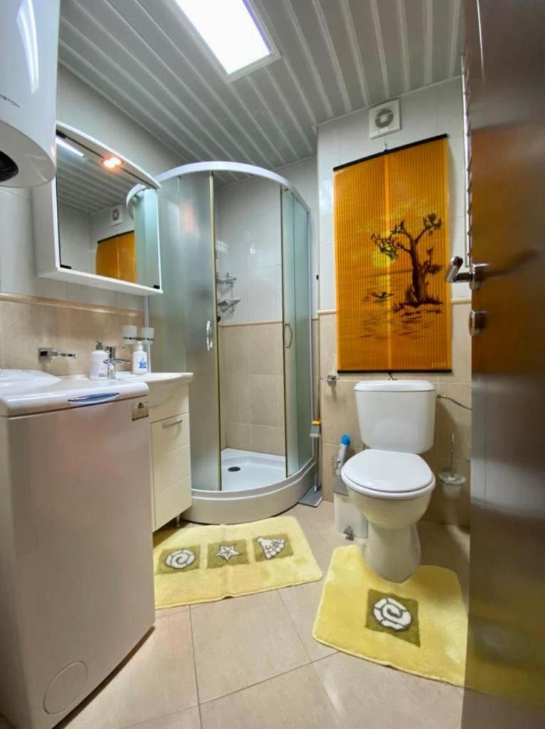 Apartment Liza Petrovac Extérieur photo