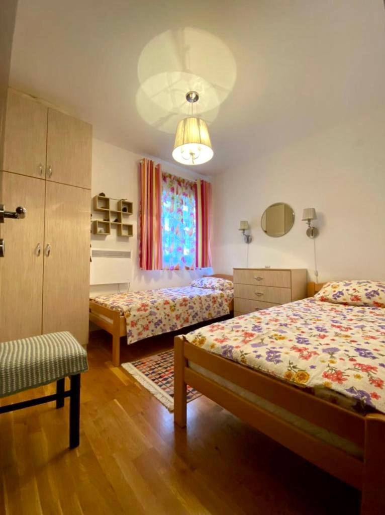 Apartment Liza Petrovac Extérieur photo