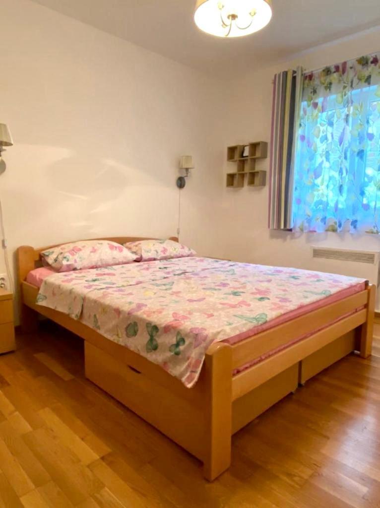 Apartment Liza Petrovac Extérieur photo