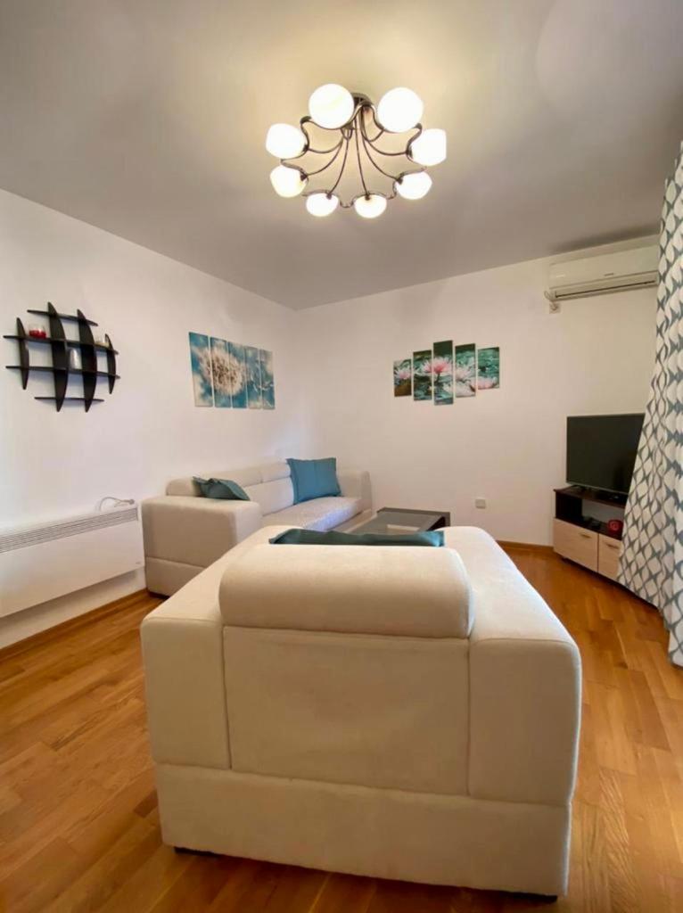 Apartment Liza Petrovac Extérieur photo